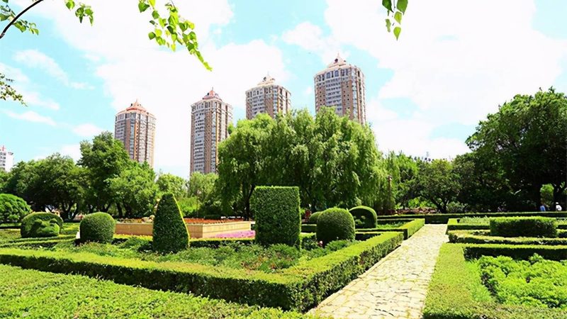 会议室花卉租摆与摆放区别