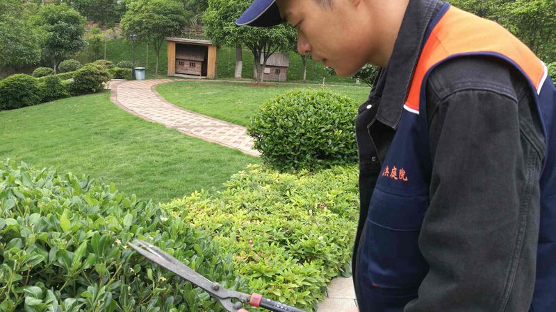 绿化工程的技术实力和施工工艺是保证项目质量的关键。专业公司应具备以下技术实力：