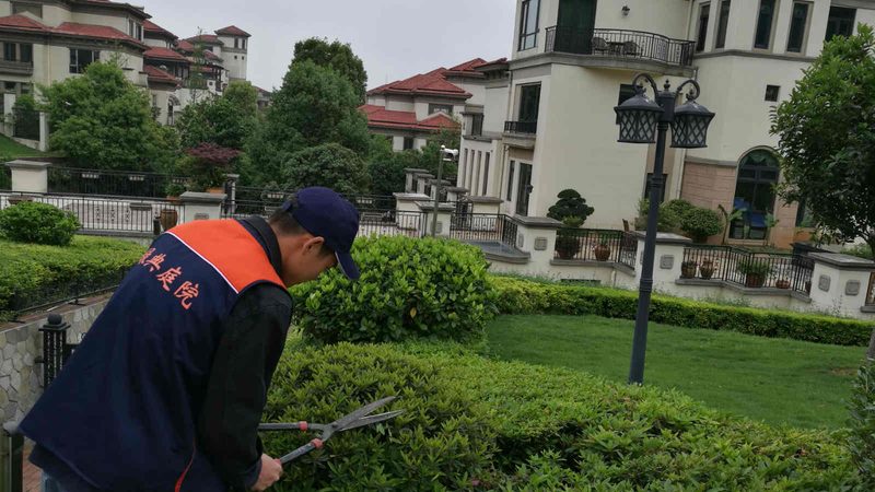 七人制足球场草坪尺寸解析：标准与选择要点
