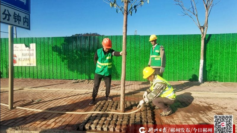 广州草坪养护与修剪：看似相近实则不同的两件事