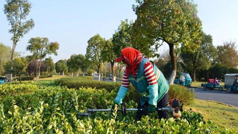 私人别墅花园设计报价：揭秘合理预算的关键要素**