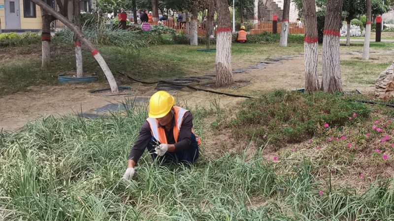 绿化资质承包工程范围全解析**