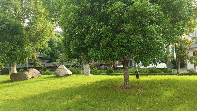 小区绿化病虫害防治流程全解析
