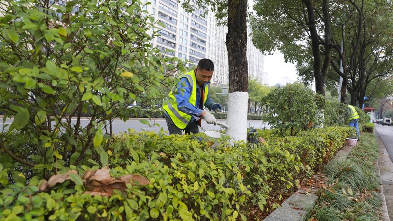 市政园林施工方案范本：从标准到实操**