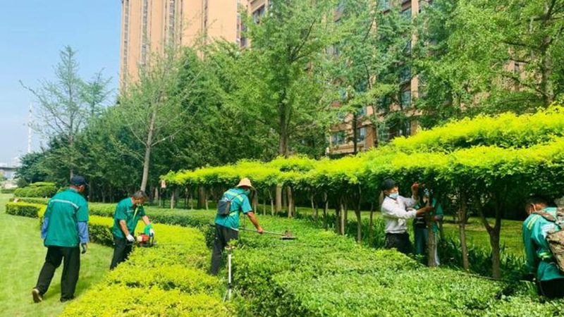 河道边坡绿化，这些细节决定成败