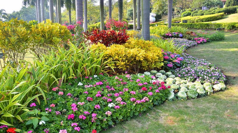 写字楼绿植租赁报价表