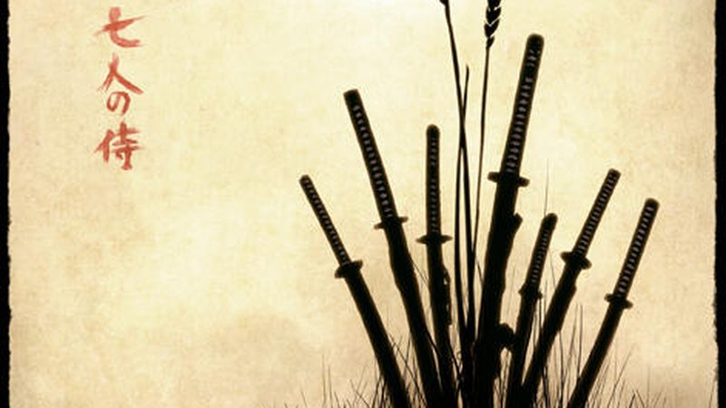 绿植租摆：种类、规格与参数全解析